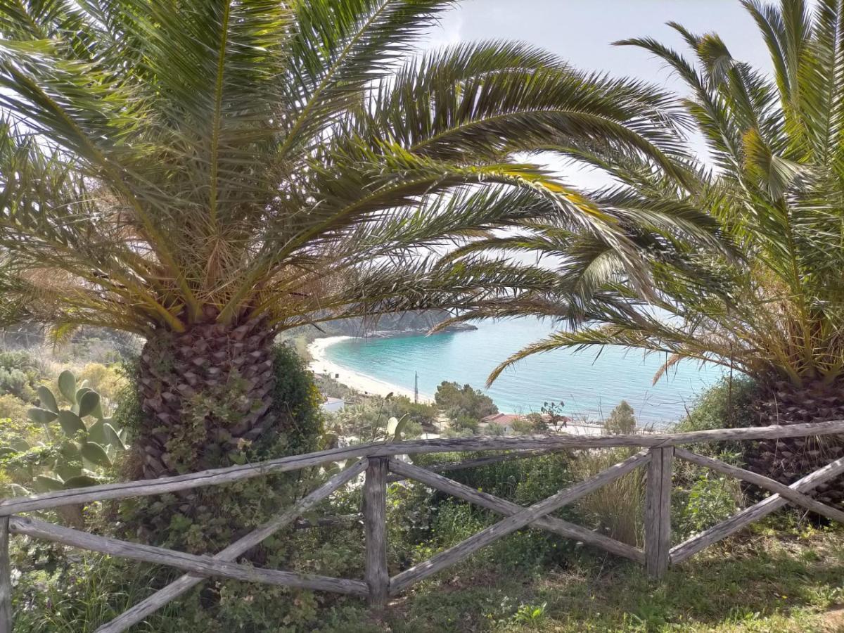 Residence Esmeraldo Capo Vaticano Eksteriør billede