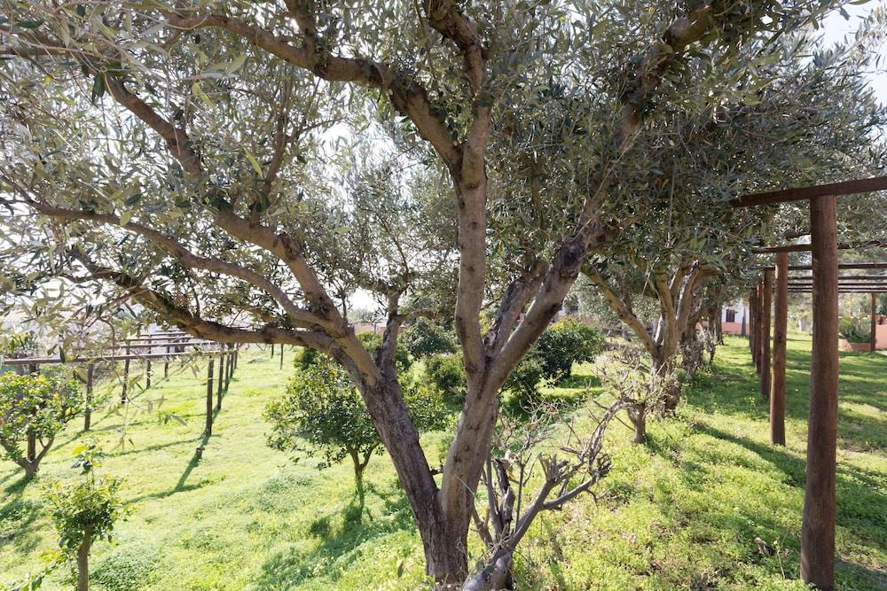 Residence Esmeraldo Capo Vaticano Eksteriør billede